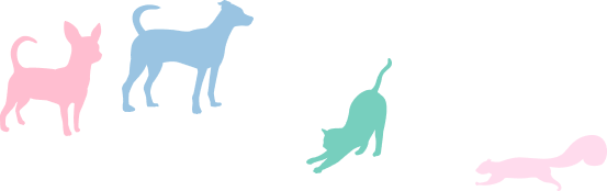 トップページ 65 犬・猫・小動物のイメージ
