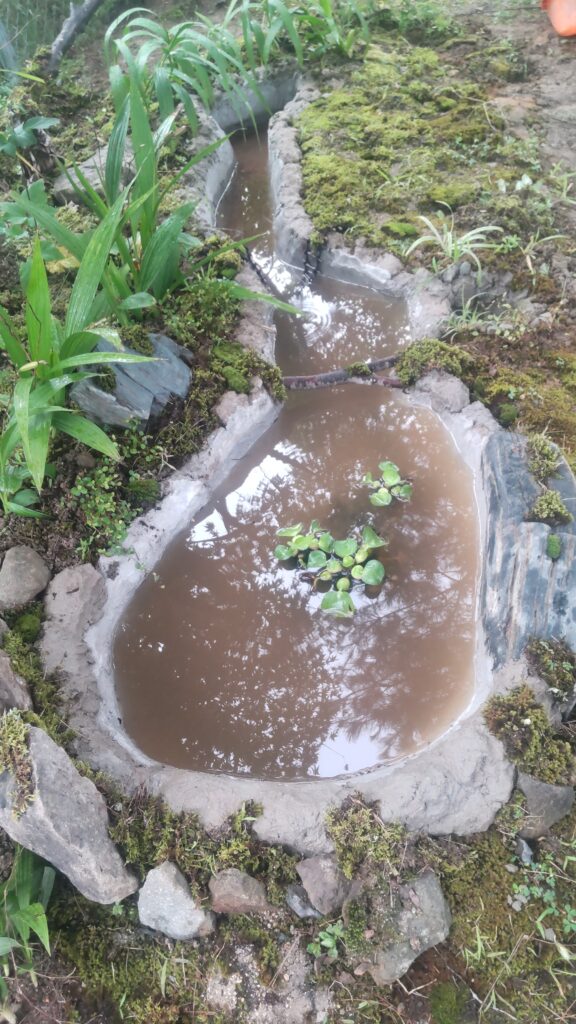 うねめの杜の園内に池が出来ました。スタッフさん達が造りました。 1 1000011388