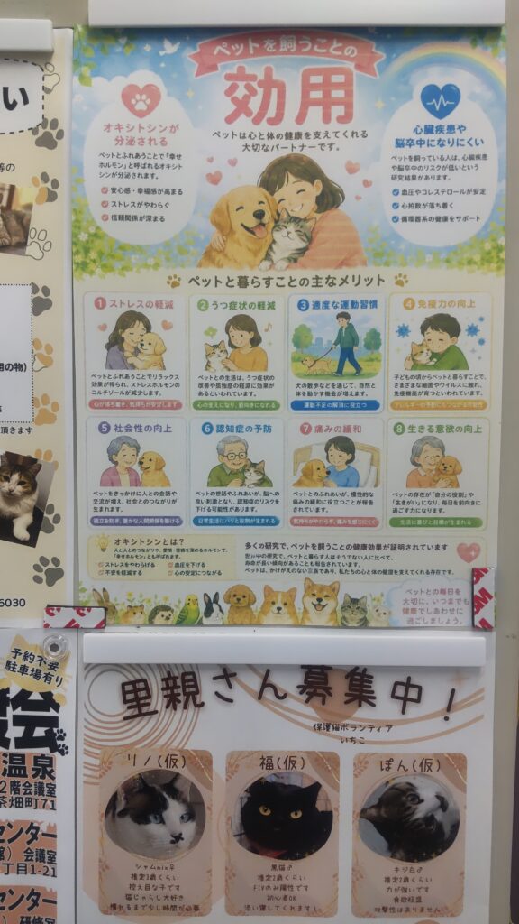 9/6(日)13:30~月例供養祭を行います。秋の彼岸供養を兼ねて、お越しのご家族様もおられます。 3 1000011436