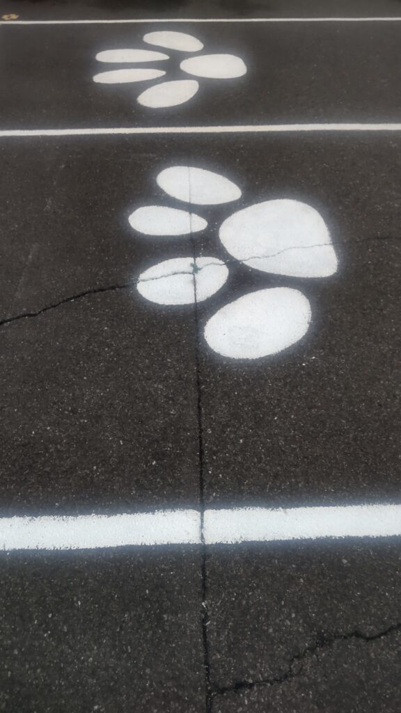 1000011468