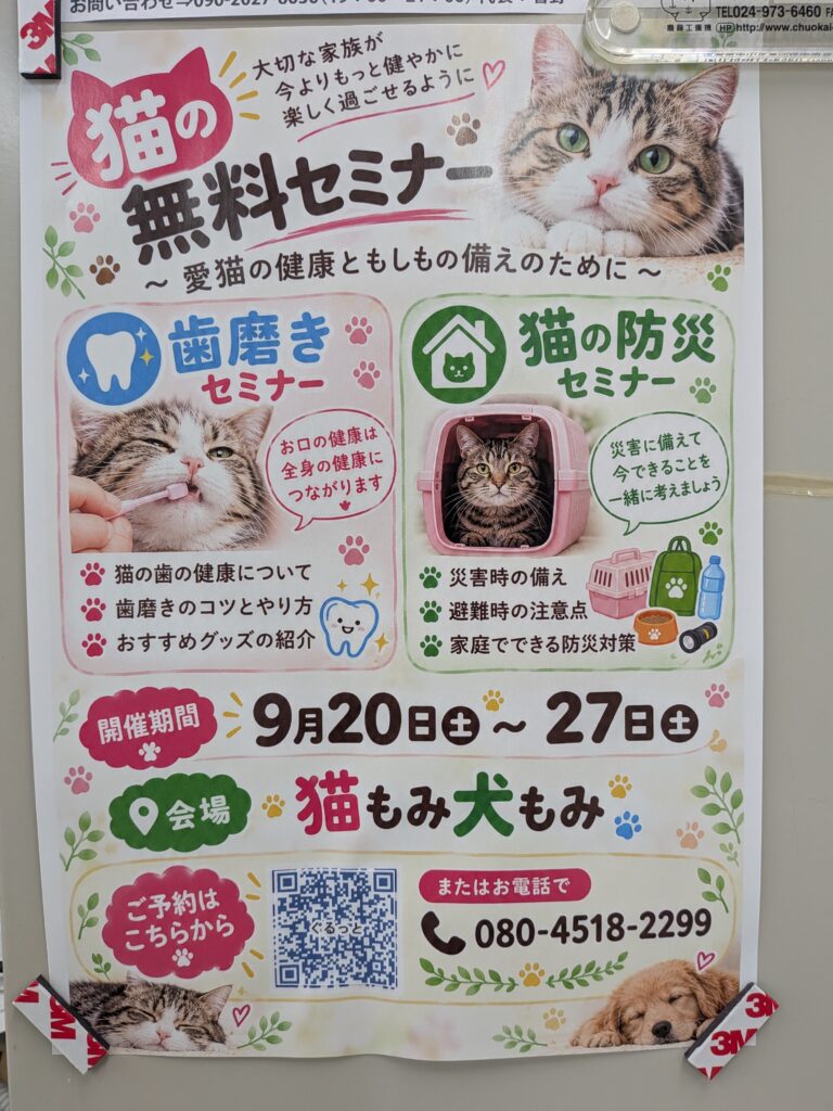 本日から、秋の彼岸入りです。たくさんお参りにお越しです。猫もみ犬もみ様、9/20(日)~9/27(日)猫ちゃんの無料セミナー開催中です。アニマルライフサポート福島様、猫ちゃんの譲渡会を9/27(日)に開催です。 2 2535