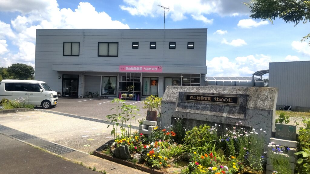 ペット葬儀のことについては、一度見学に行くことをオススメします。料金や流れに疑問をお持ちください。 1 b31748ffc1c8955b8f77cc818592d72e