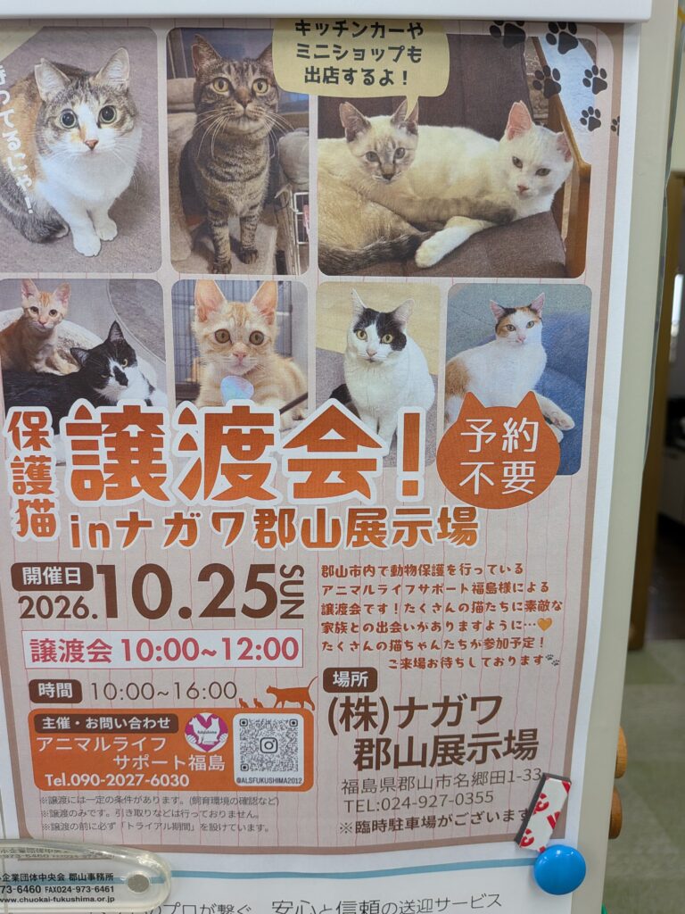 アニマルライフサポート福島様、10/25(日)10:00~12:00 猫ちゃんの譲渡会を開催されます。詳しくは、画像を参照ください。 1 2881