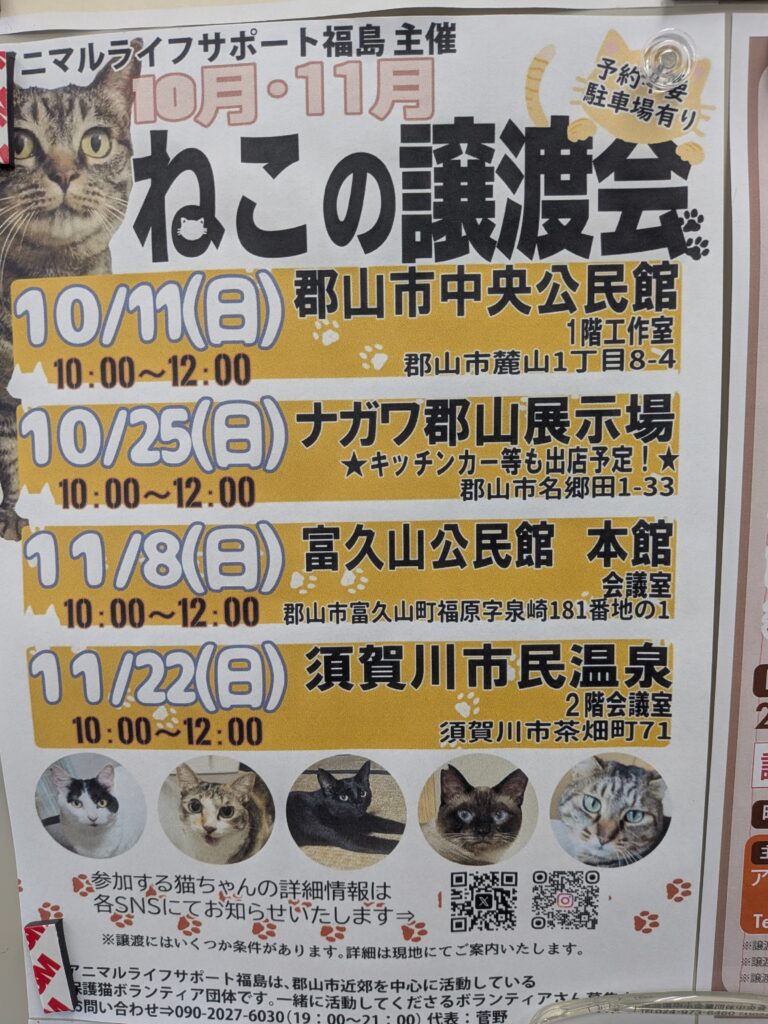 アニマルライフサポート福島様、10/25(日)10:00~12:00 猫ちゃんの譲渡会を開催されます。詳しくは、画像を参照ください。 2 2882